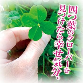 Amazon.co.jp: [Daiwa] 幸せの四つ葉のクローバー・キーホルダー ペア